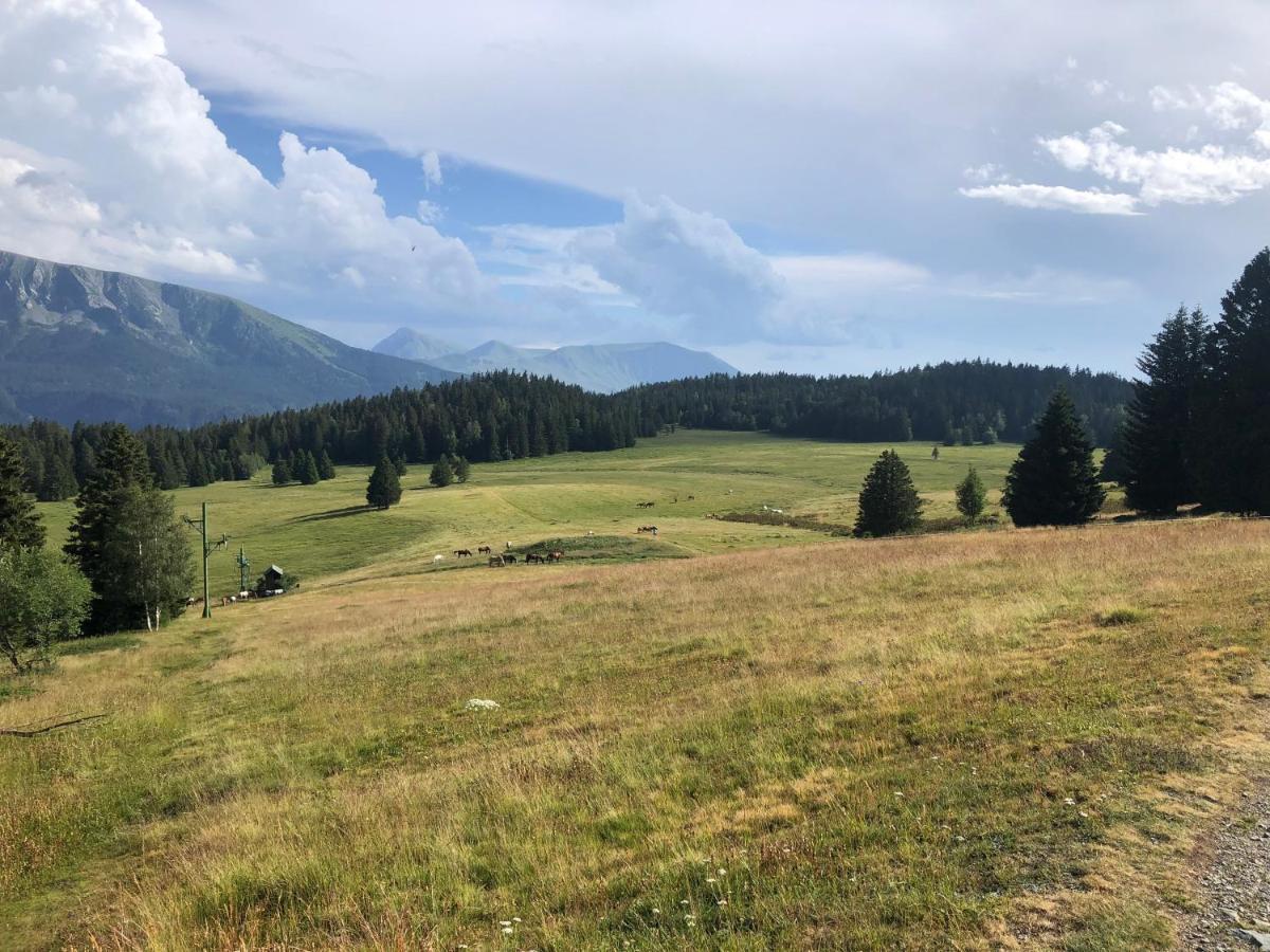 Appartamento T2 Bis Sud -6 Pers- Chamrousse 1700 Bachat Bouloud Esterno foto